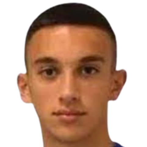 安德里亚·布拉托维奇